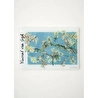 Bella Maison Van Gogh Almond Blossom Cam Kesme Tahtası (35x25 Cm) Çok Renkli