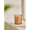 Bella Maison Oud Serenity Soya Wax Kokulu Mum Amber (120 Gr) Amber