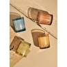Bella Maison Amberwood Trail Soya Wax Kokulu Mum Sarı (120 Gr) Sarı