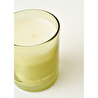 Bella Maison Golden Tropics Soya Wax Kokulu Mum Yeşil (120 Gr) Yeşil