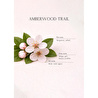 Bella Maison Amberwood Trail Çubuklu Oda Kokusu Sarı (100 Ml) Sarı
