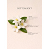 Bella Maison Cotton Kumaş Spreyi (500 Ml) Kahverengi