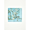 Bella Maison Van Gogh Almond Blossom 20'li Kağıt Peçete Turkuaz (33x33 Cm) Çok Renkli
