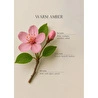 Bella Maison Warm Amber Oda Spreyi (500 Ml) Pembe