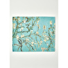 Bella Maison Van Gogh Almond Blossom Pamuklu 2'li Kurulama Bezi Turkuaz (40x50 Cm) Turkuaz