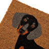 Mudo Home Dog Kapi Paspas 40x60 Cm