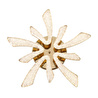 Apliqa Quinn 10'lu Gold 80 Watt Plafonyer 3 Renkli Led Avize