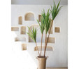 The Mia Dracaena Yapay Ağaç 4 Dallı 180 Cm