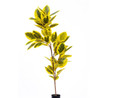 The Mia Ficus Altissima Yapay Ağaç Sarı Yeşil 6 Dal 170 Cm