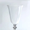 Jumbo Salvia 6'lı Kadeh Takımı 250 ml