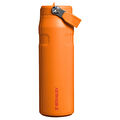 Stanley The IceFlow Flip Straw Pipetli Termos Bardak 700 ml Goldenroad Coral