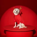 Karaca Home X Pati Köpek Kıyafet Benji (2xl Beden)