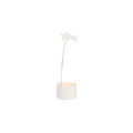 Rader Kayan Yıldız Tealight Mumluk Beyaz