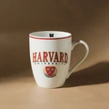 Karaca Harvard Kupa 350 Ml Kırmızı 