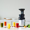 Hurom H101 Slowjuicer Meyve Sıkacağı Silver