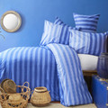 Nautica Home Hillgrove %100 Pamuk Tek Kişilik Nevresim Seti