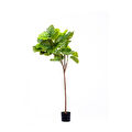 The Mia Ficus Umbellata Yapay Ağaç Yeşil 4 Dallı 150 Cm
