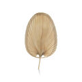 The Mia Dekoratif Palmiye Yaprağı 2x28x52 Cm