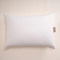 Penelope %100 Pamuk Penye Sıvı Geçirmez 2'li Yastık Alezi 50x70 Cm