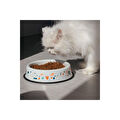 Emaylab Emaye Kedi Köpek Mama Ve Su Kabı