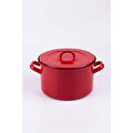 Emaylab Rainpot Tencere 22 Cm Flame