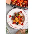 Rakle Pomodoro Stoneware 4'lü Yemek Tabağı Seti 23 Cm