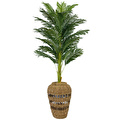 Biçiçek Luxury Areka Palmiyesi 160cm Hasır Saksıda Bohem3