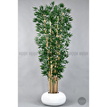 Biçiçek Zen Bambu Ağacı 220-240 Cm Fiber Saksıda Beyazfiber1