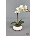Biçiçek Yapay Çiçek Dekoratif Beton Saksıda Büyük Boy Beyaz Islak Orkide