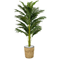 Biçiçek Areka Palmiyesi 140cm Hasır Saksıda Fejka