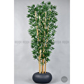 Biçiçek Zen Bambu Ağacı 220-240 Cm Fiber Saksıda Grifiber1