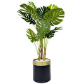 Biçiçek Monstera Ağacı 160cm Siyah Gold Metal Saksıda