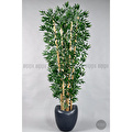Biçiçek Zen Bambu Ağacı 220-240 Cm Fiber Saksıda Grifiber2