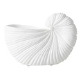 Mudo Home White Shell Vazo 21x10x15 Cm