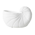 Mudo Home White Shell Vazo 26x13x19 Cm