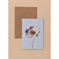 The Mia Art Line Mini Tebrik Kart Seti Anemone 10 X 14 Cm
