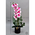 Biçiçek Yapay Phalaenopsis Orkide Buyuk Boy