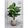 Biçiçek Monstera Bitkisi 65 Cm Küre Saksıda
