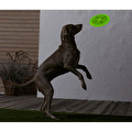 Tchibo Köpekler İçin Frizbi