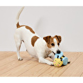 Tchibo Köpek Oyuncağı, Peluş, Arı, Küçük