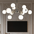 Apliqa Sofia 12'li Siyah Gold 100 Watt Yuvarlak Modern Oturma Odası, Salon Avize