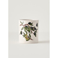 Bella Maison Olive Dik Kaşıklık (11,5x12,5 Cm) Çok Renkli