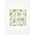 Bella Maison Daisy 40'lı Kağıt Peçete Yeşil (33x33 Cm)