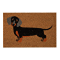 Mudo Home Dog Kapi Paspas 40x60 Cm
