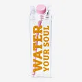 Flying Tiger Copenhagen Pipetli Şeffaf Süt Kutusu 500 ml