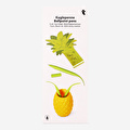 Flying Tiger Copenhagen Ananas Şeklinde Tükenmez Kalem Seti