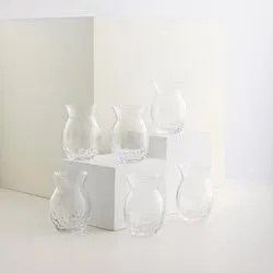 Jumbo Classy Cırcle 6'lı Çay Bardağı