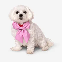 Flying Tiger Copenhagen Çıkarılabilir Fiyonklu Köpek Tasması