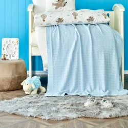 Karaca Home Aero Bear Mavi Nakışlı Private Bebek Seti
