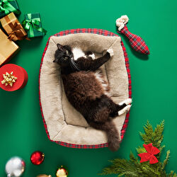 Karaca Home X Pati Ginger Kırmızı Kedi Köpek Yatağı